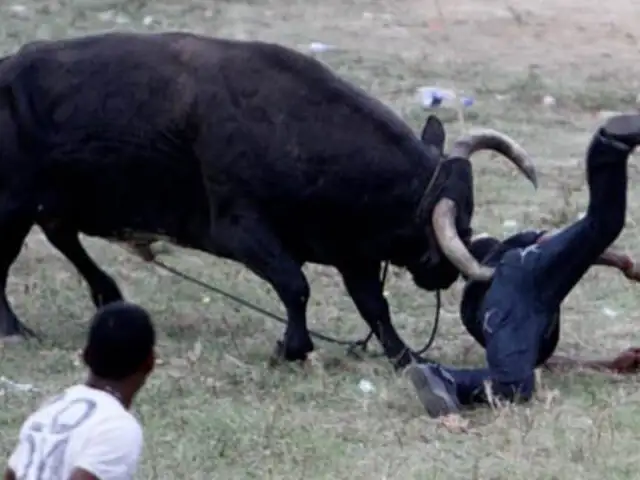 Impactantes imágenes: toro cornea a hombre hasta matarlo durante festival español