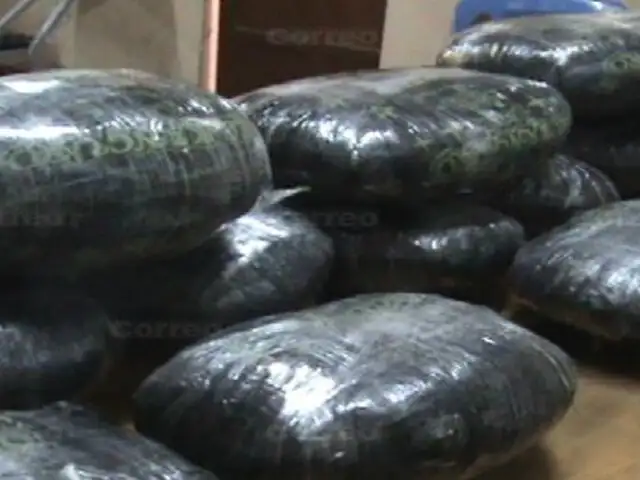 Decomisan 250 kilos de hoja de coca en terminal terrestre de Arequipa