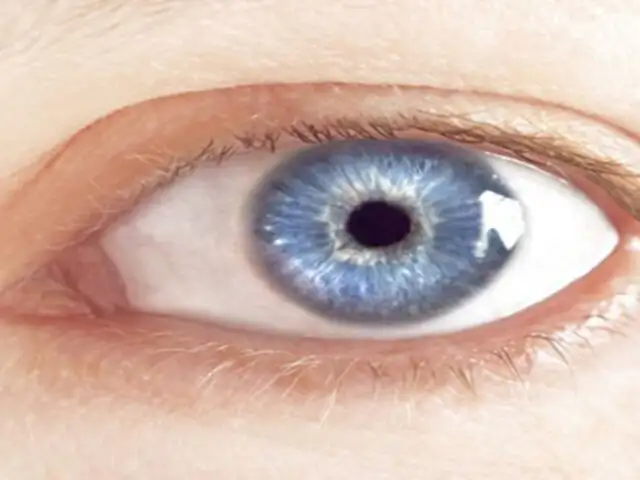 Científicos revelan que las personas con ojos azules son más propensas al alcoholismo