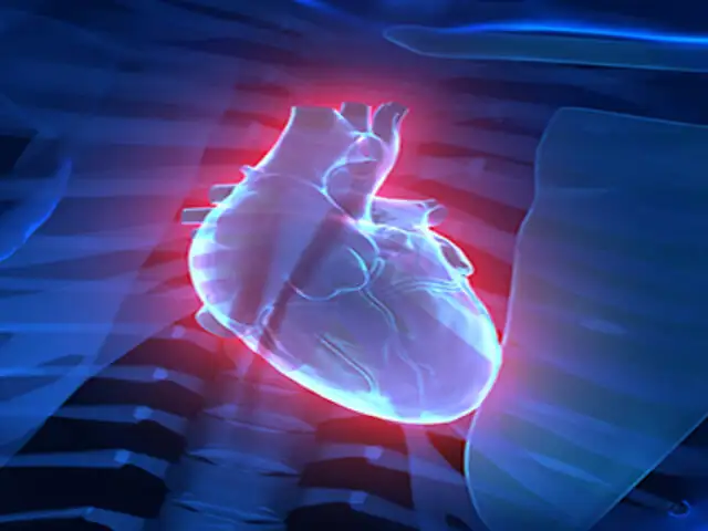 VIDEO : nuevo software permite ver imágenes del corazón en 4D