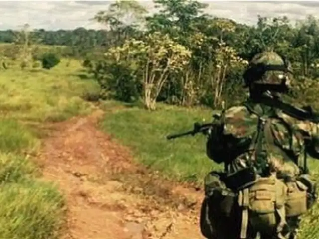 Colombia: recuperan 280 mil hectáreas que estaban en poder de las FARC