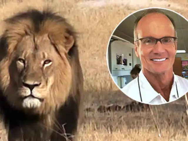 EEUU: protestan frente a oficina de dentista que mató al león Cecil de Zimbabwe