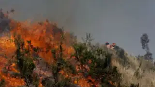 Huari: Incendio forestal pone en peligro el Parque Nacional Huascarán