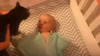 YouTube: mira la emotiva reacción que tiene este bebé al ver a su gato