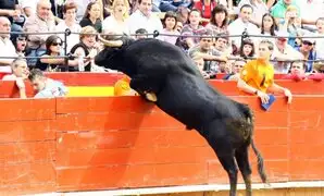 Toro derriba barrera de seguridad y embiste a aficionados en España