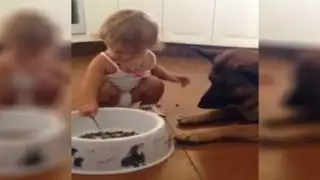 VIDEO: niña que alimenta a su perro con una cuchara enternece las redes