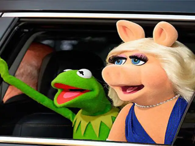 ¡Se acabó el amor! : La rana René y Miss Piggy ponen fin a su relación