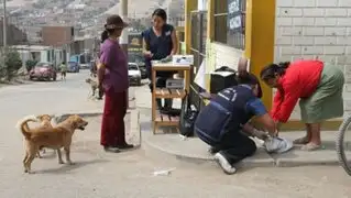 Confirman primer caso de rabia humana en mujer gestante de Arequipa