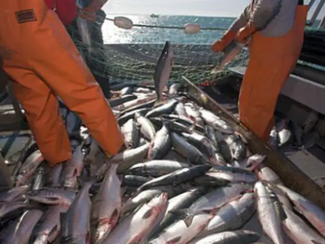 Produce niega que Perú vaya a ceder cuota de pesca de jurel a Unión Europea