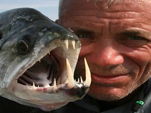 FOTOS: Jeremy Wade y los peces más monstruosos que ha capturado
