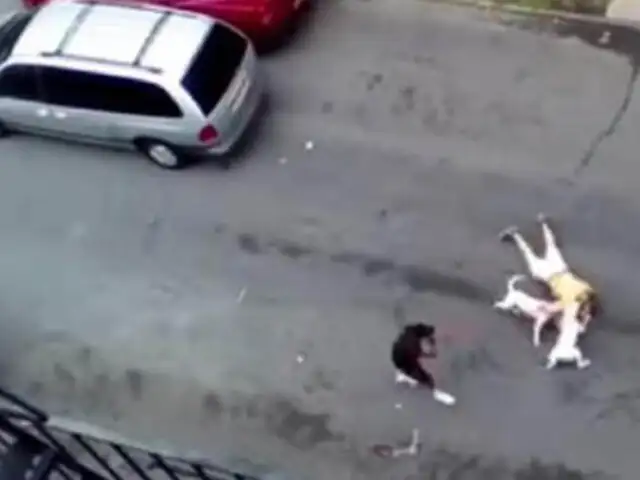 Impactantes imágenes: brutal ataque de dos perros pitbull a un anciano