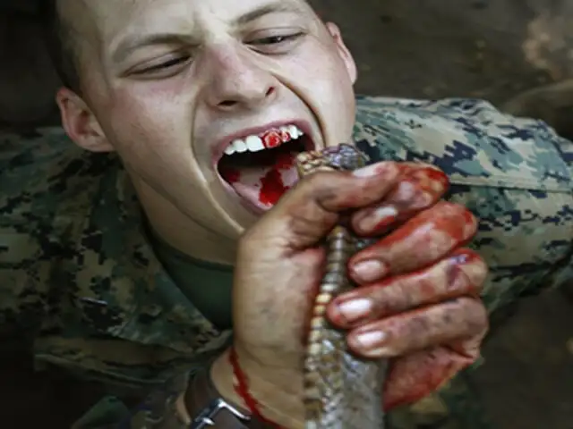 FOTOS: así son los 10 métodos de entrenamiento militar más extremos del mundo