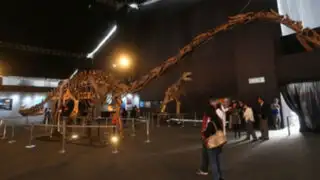 Dinosaurios gigantes animatronics invaden el Jockey Club del Perú