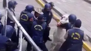 Policías municipales golpean y decomisan alpaca a anciana ambulante