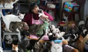 “La dama de los gatos”: así es el albergue de felinos enfermos de Lima