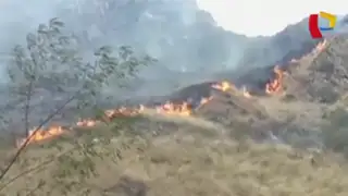 Machu Picchu: controlan incendio forestal registrado cerca a ciudadela inca