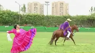San Borja:  realizarán festival del caballo de paso peruano