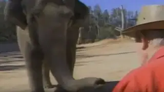 Así fue el conmovedor reencuentro de una elefante y su cuidador después de 17 años