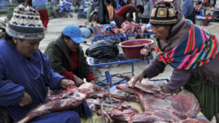 Bolivia propone consumir carne de llama ante advertencia de la OMS