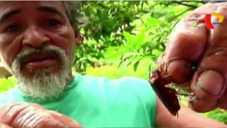 Benicio Ramírez, el ecuatoriano que se alimenta de cucarachas e insectos
