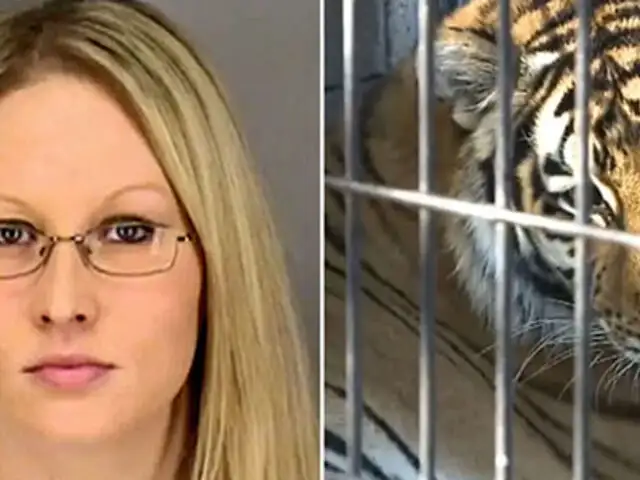 Mujer fue mordida por un tigre tras ingresar a su jaula en estado de ebriedad