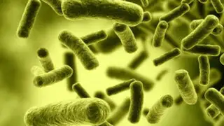 Doctor en familia: ¿Cuáles son las partes del cuerpo con más bacterias?