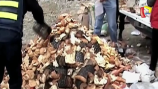 Andahuaylas: incineran panetones en mal estado