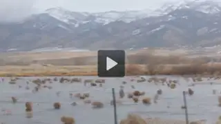 VIDEO: esto es lo que produce una fuerte tormenta en Montana