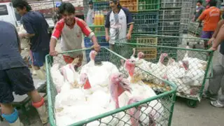 Navidad: continúa venta de pavos y lechones en la vía pública