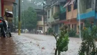 Tingo María: decenas de viviendas quedan inundadas por desborde de ríos