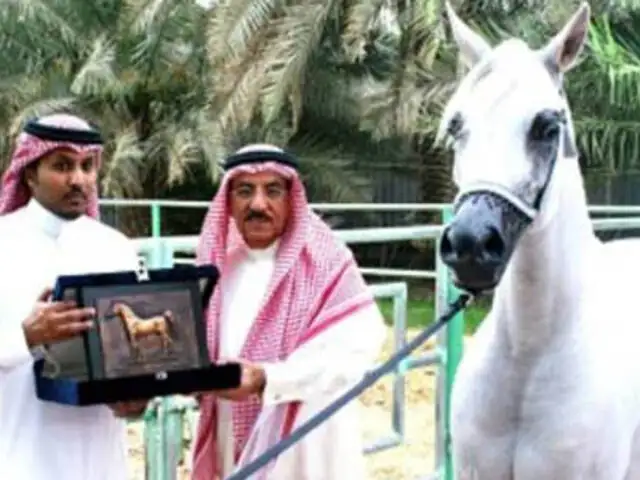 Autoridades de Arabia Saudita ordenan ejecutar un caballo por ser 'homosexual'