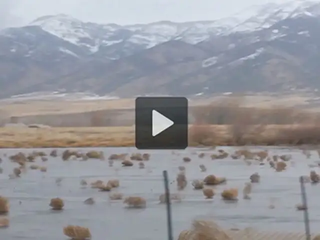 VIDEO: esto es lo que produce una fuerte tormenta en Montana