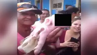 VIDEO: encuentran un cerdo con ‘cara de mono’ en Cuba
