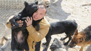 FOTOS: Wang Yan, el millonario chino que destinó su fortuna al rescate de perros abandonados