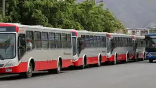 Corredor Javier Prado: consorcio en desacuerdo con pintado de buses