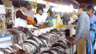 Atención: afirman que precio del pescado disminuyó 7% en últimos seis meses