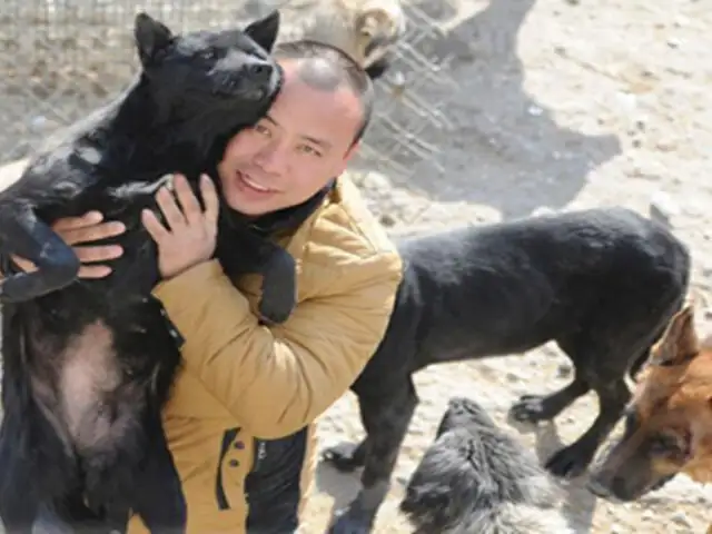 FOTOS: Wang Yan, el millonario chino que destinó su fortuna al rescate de perros abandonados