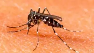 Minsa confirmó segundo caso importado de Zika en Perú