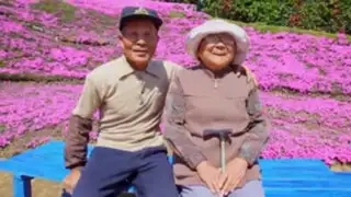 Japón: el hombre que plantó miles de flores para alegrar a su esposa ciega