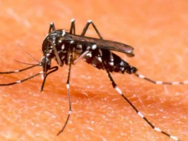Zika: declaran en Alerta Verde los centros de salud de Lima y 20 regiones del Perú