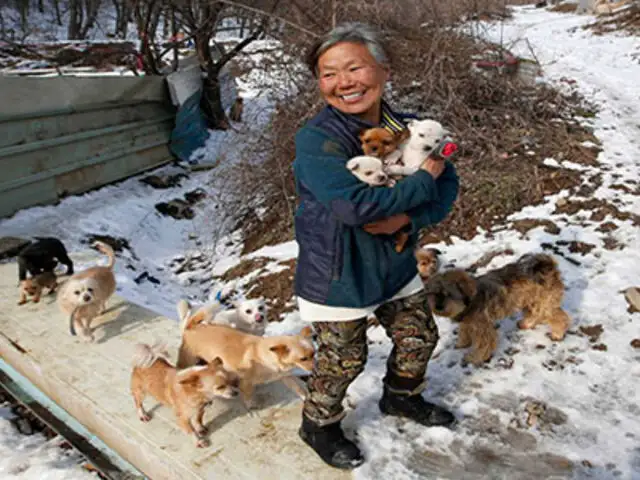 Tiene poco dinero pero el amor suficiente para rescatar perros por más de 20 años