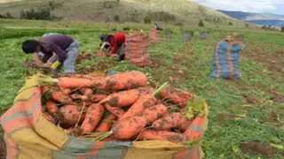 Estado comprará  a pequeños agricultores como mínimo 30% de alimentos que producen
