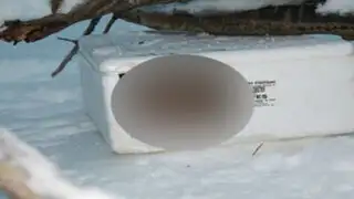 Encontró una extraña caja en la nieve y lo que descubrió fue realmente conmovedor