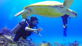 Buceo en Pucusana: una aventura inolvidable bajo el mar