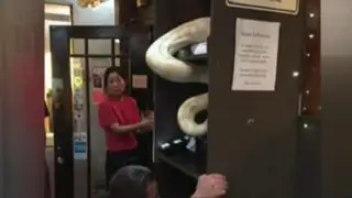 Hombre lleva dos culebras a un restaurante y termina tras las rejas