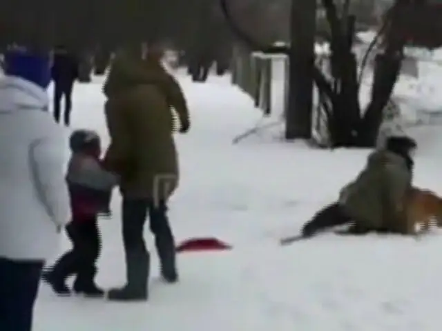 Rusia: niño fue atacado por cachorro de león