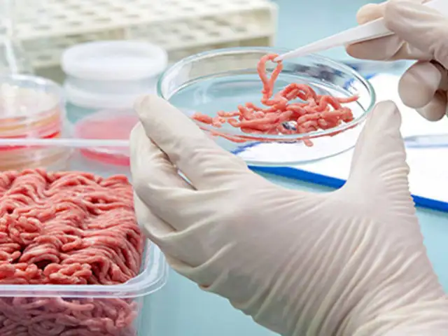 La nueva alternativa de la ciencia para comer carne sin necesidad de matar animales