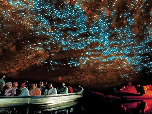 Las cuevas de Waitomo, un lugar donde las larvas ofrecen un espectáculo único en el mundo