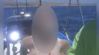 FOTOS: pescador encuentra extraña criatura nunca antes vista en playa de México