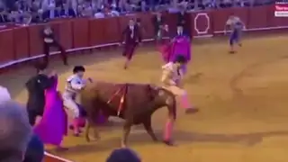 España: torero peruano Roca Rey sufrió dura cornada